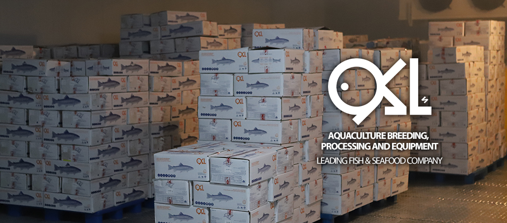 AKOO Fish Cold Store