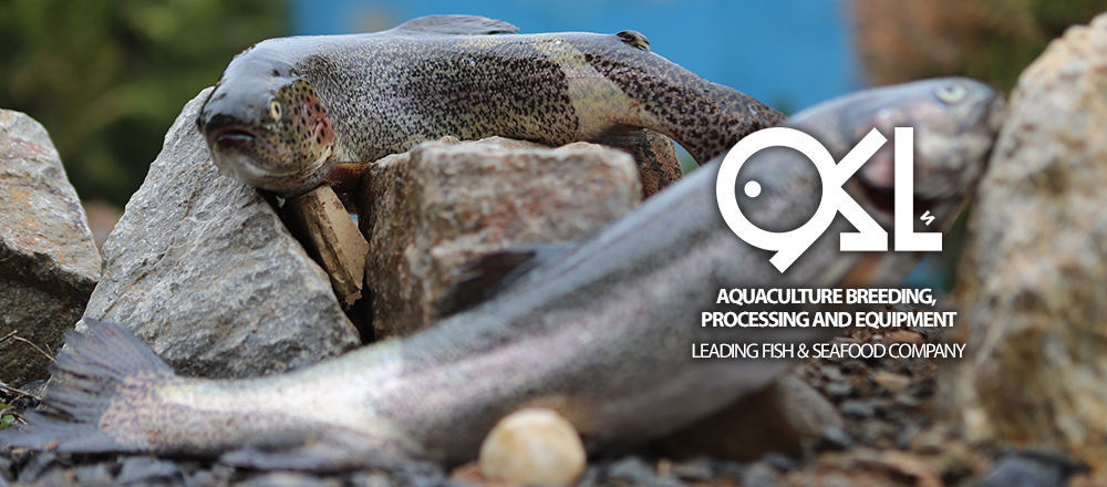 AKOO Fish Fresh Trout