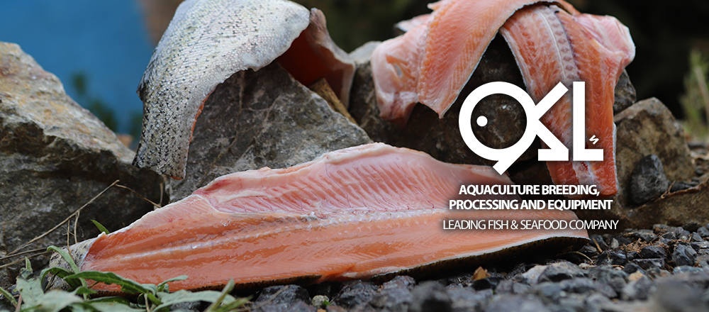 AKOO Fish Salmon Fillet