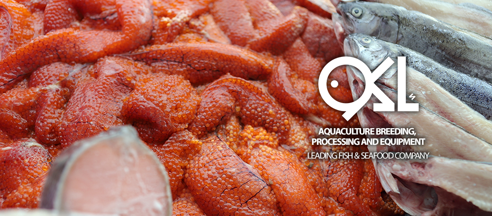 AKOO Fish Salmon Roe